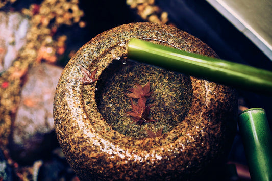 Ikigai in Action: Tama’s Secret to a Long and Happy Life