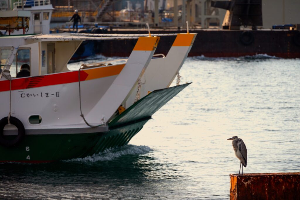 The Hidden Daily Life and Living Traditions – Tokyo, Onomichi & Kyoto