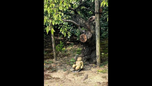 Deep Kyoto: Talk to a Monk